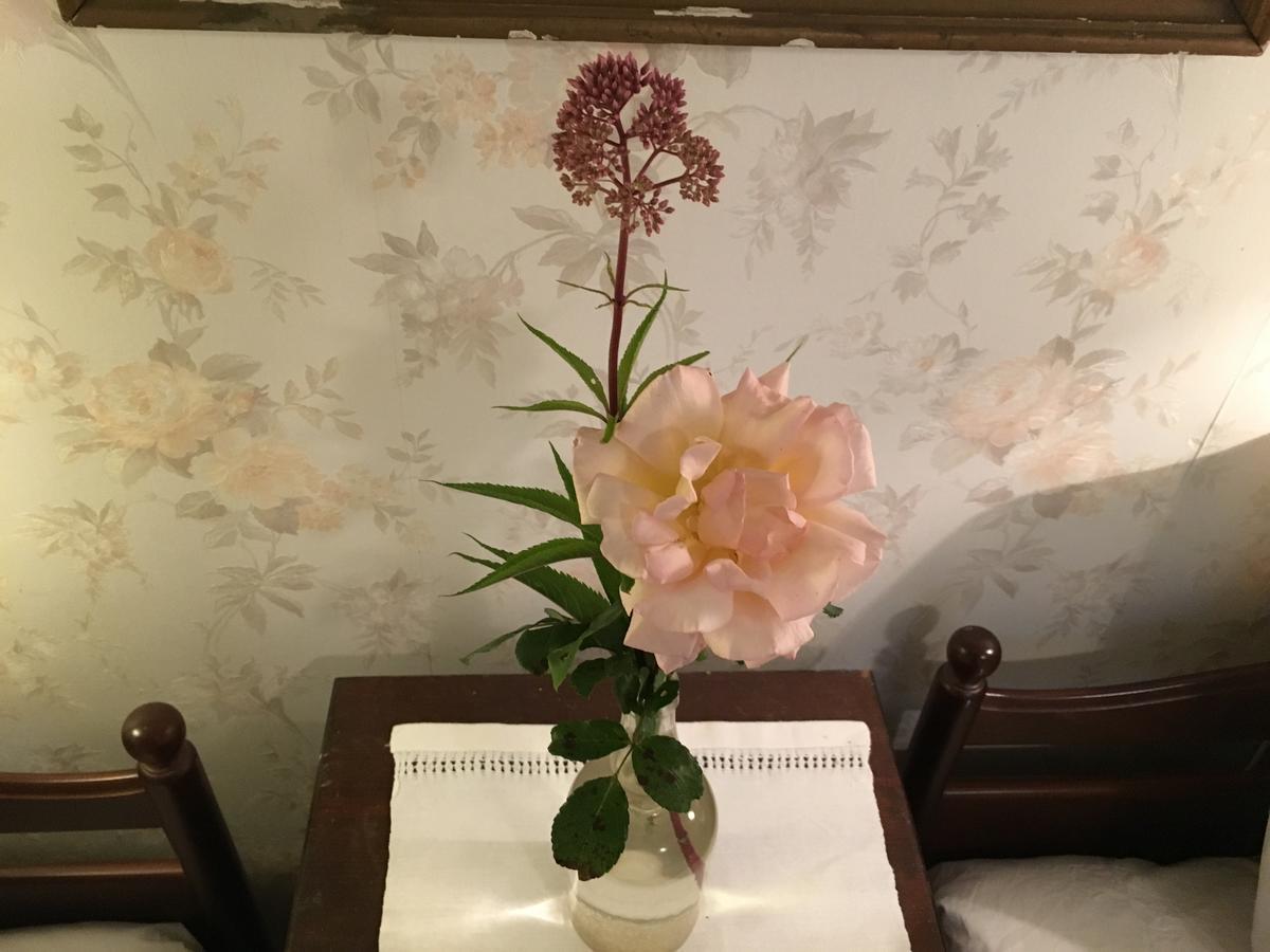 Berte Bed&Breakfast Sloinge Екстериор снимка